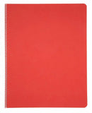 Early Literacy Lesson Books - portrait - blank/lined - Single books