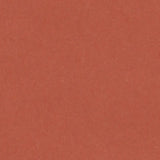 Cardstock (English Cardboard) 160 g - 19.7"x25.6" - 1 large sheet