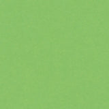 Cardstock (English Cardboard) 160 g - 19.7"x25.6" - 1 large sheet