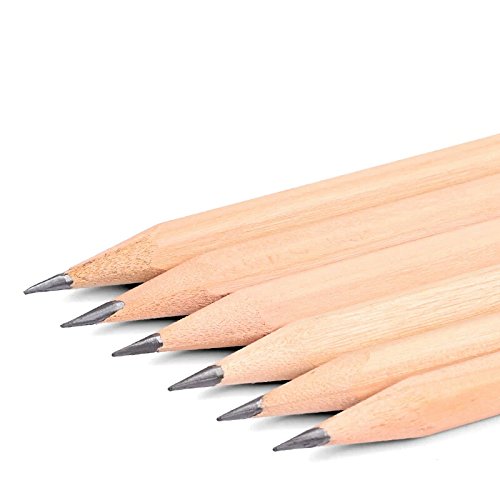 ProNatura Graphite Pencils - 12 Pack (various hardnesses)