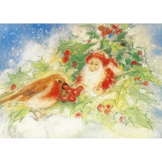 Marjan van Zeyl Postcards - Winter Robin with Dwarf