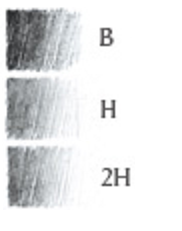 ProNatura Graphite Pencils - 12 Pack (various hardnesses)